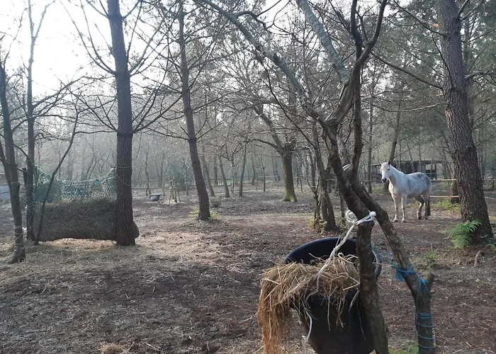 Domaine De L\'Escuderia